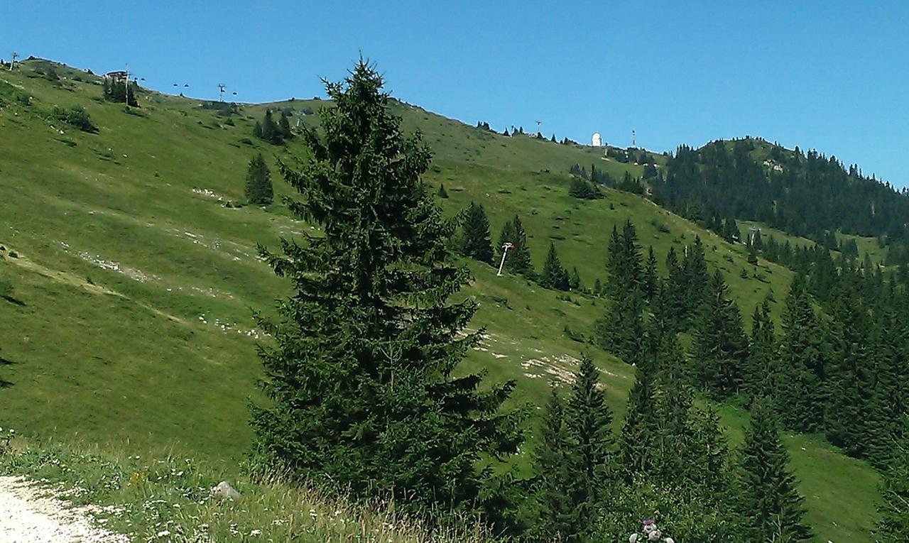 Apartmani Marija Jahorina Kültér fotó